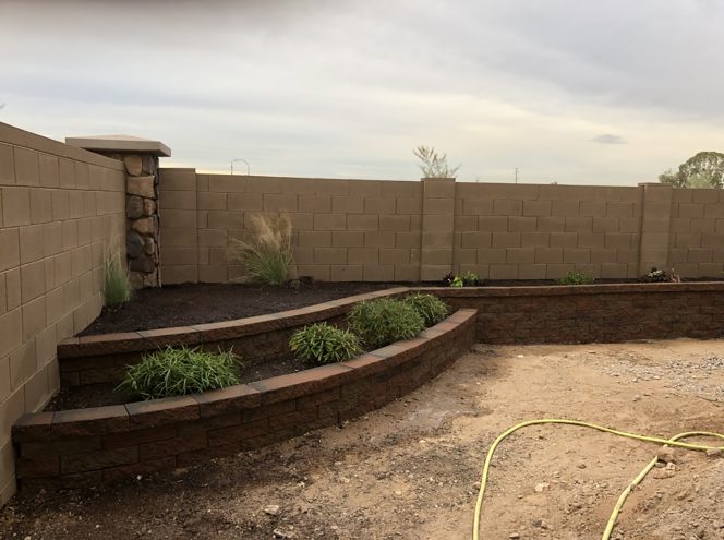 A backyard with tan brick walls, curved raised garden beds with plants, bare soil, and a yellow garden hose on the ground.