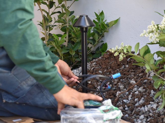 Person installing outdoor landscape lighting fixture in a garden bed with plants and mulch, handling electrical wiring and parts.